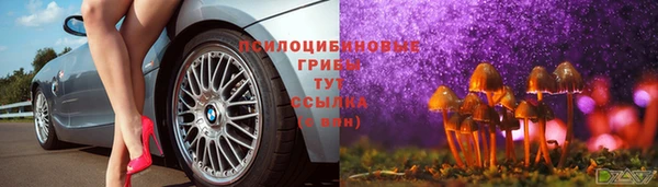 кристаллы Богданович