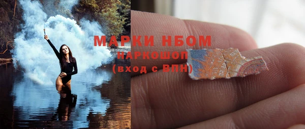 сатива Белокуриха