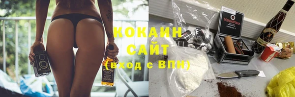 сатива Белокуриха