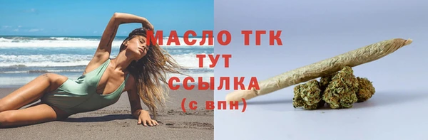 гидра Богородицк