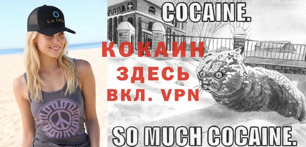 гидра Богородицк