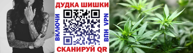 Бошки марихуана OG Kush  продажа наркотиков  Белинский 
